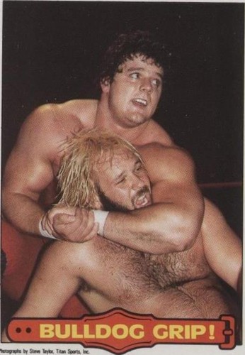 1985 O-Pee-Chee Pro Wrestling Stars - Davey Boy Smith #32