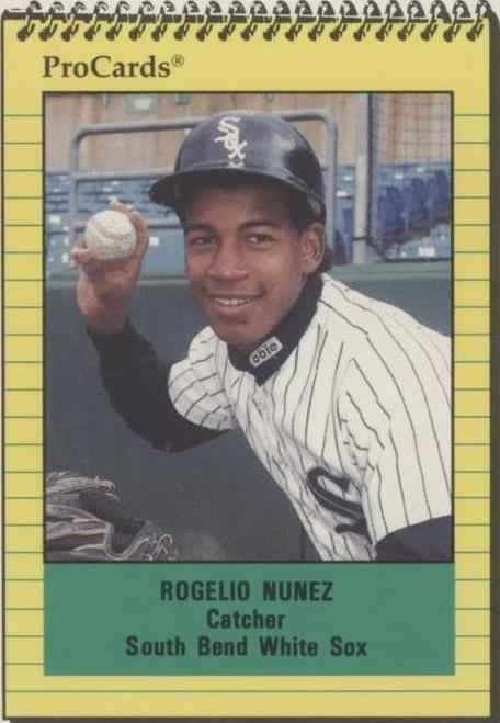 1991 ProCards Minor League - Rogelio Nunez #2859