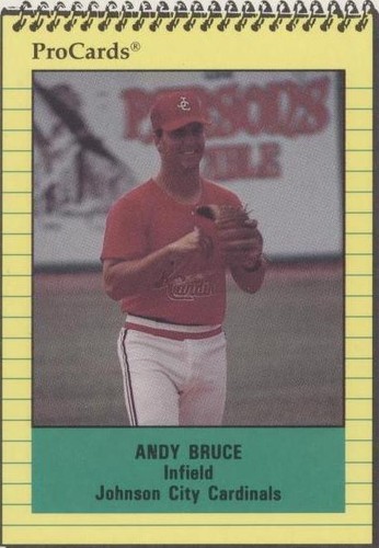 1991 ProCards Minor League - Andy Bruce #3981