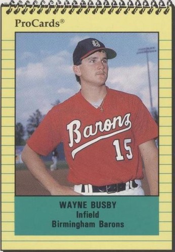 1991 ProCards Minor League - Wayne Busby #1458