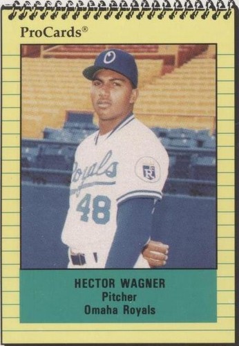 1991 ProCards Minor League - Hector Wagner #1036