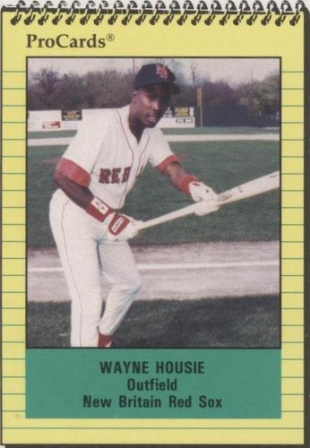 1991 ProCards Minor League - Wayne Housie #365