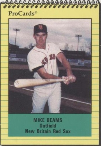 1991 ProCards Minor League - Mike Beams #362