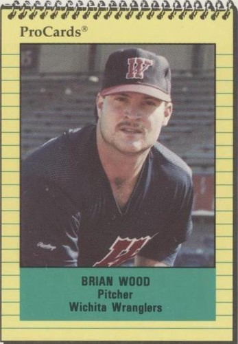 1991 ProCards Minor League - Brian Wood #2600
