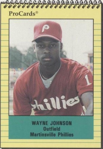 1991 ProCards Minor League - Wayne Johnson #3467
