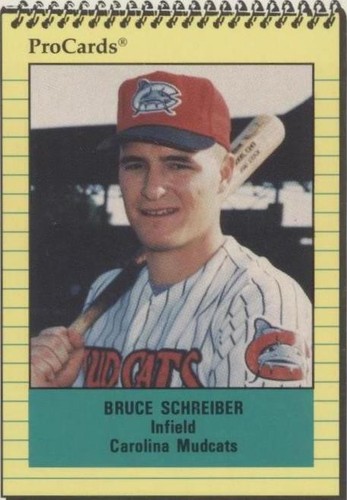 1991 ProCards Minor League - Bruce Schreiber #1094