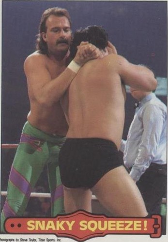 1985 O-Pee-Chee Pro Wrestling Stars - Jake "The Snake" Roberts #10