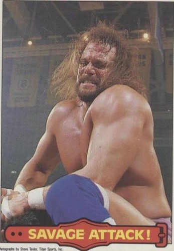 1985 O-Pee-Chee Pro Wrestling Stars - Randy Savage #11