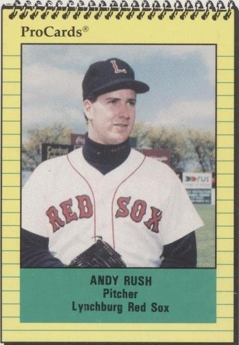 1991 ProCards Minor League - Andy Rush #1197