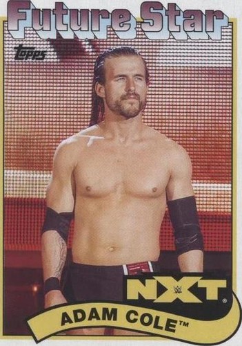 2018 Topps Heritage WWE - Adam Cole #91