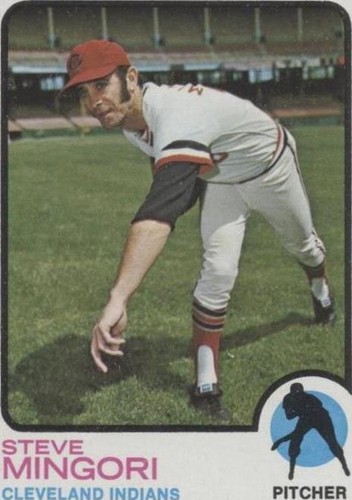 1973 Topps - Steve Mingori #532