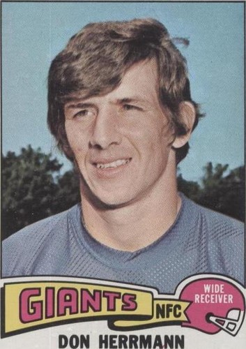 1975 Topps Don Herrmann #308
