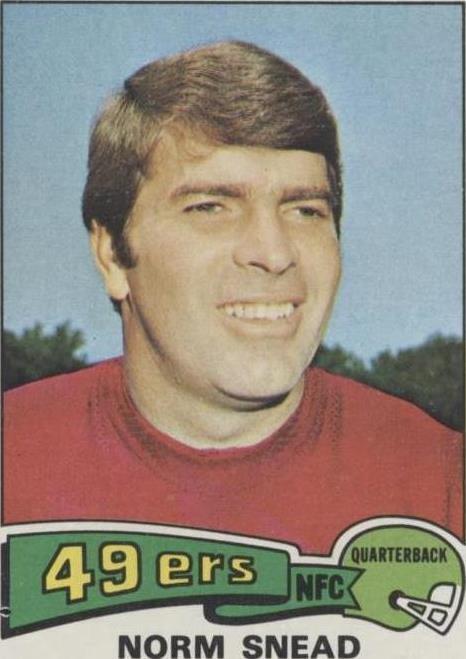 1975 Topps Norm Snead #275