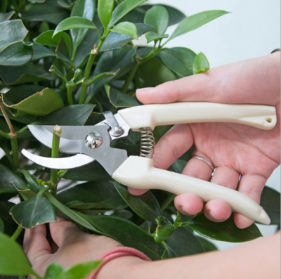 Garden Pruning Shears Fruit Tree Branch Grafting Clipping Pruner Secateurs Tool