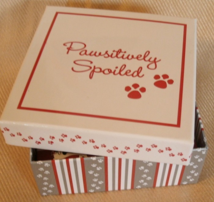 Pet Collar Charms 2pc Set Talk to Paw Pawsitively Spoiled Paw Power Dog Cat