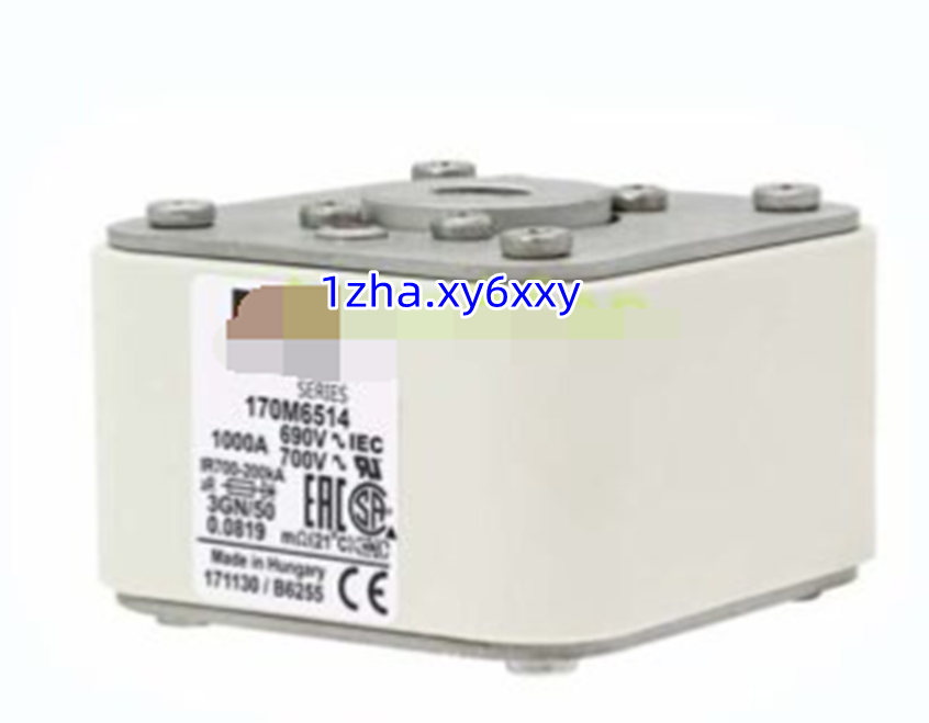 にんにん for 1PCS New 170M6514 Fast Acting Fuse 690V 1000A #ZH | eBay