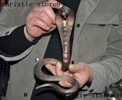 Snakes Snake Statue