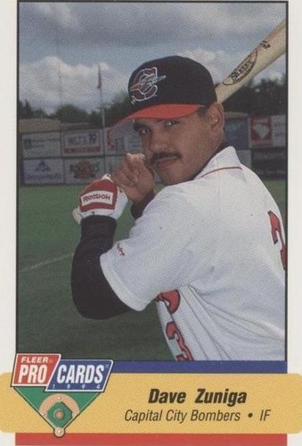 1994 Fleer ProCards Minor League - Dave Zuniga #1761