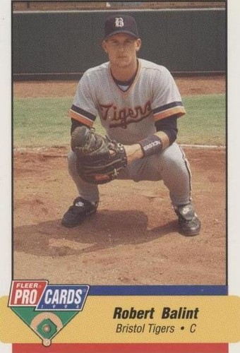 1994 Fleer ProCards Minor League - Rob Balint #3505