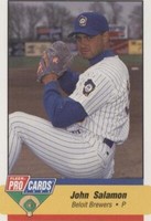 1994 Fleer ProCards Minor League - John Salamon #98