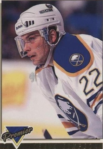 1993-94 O-Pee-Chee Premier - Craig Simpson #333
