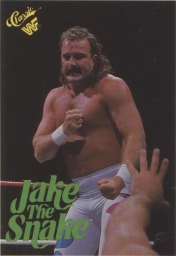 1989 Classic WWF - Jake "The Snake" Roberts #63