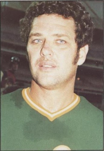 1976 SSPC - Sonny Siebert #484