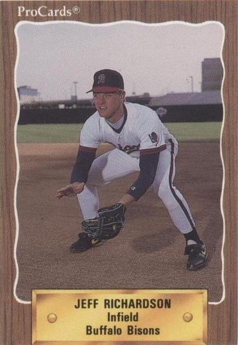 1990 ProCards Minor League - Jeff Richardson #382