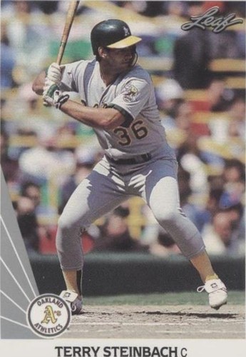 1990 Leaf - Terry Steinbach #252
