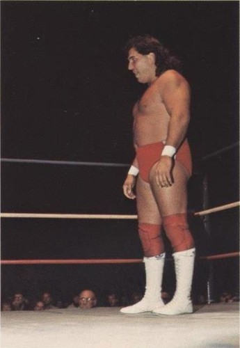 1988 Wonderama NWA Wrestling Card #145 Italian Stallion | eBay