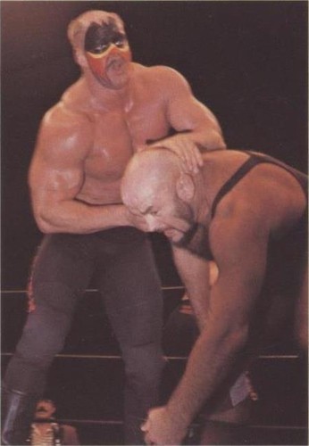 1988 Wonderama NWA - Road Warriors #279