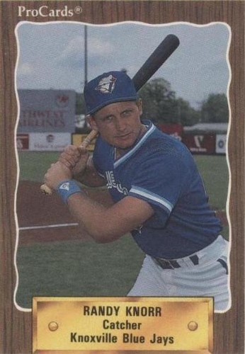 1990 ProCards Minor League - Randy Knorr #1248