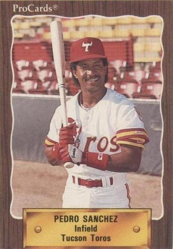 1990 ProCards Minor League - Pedro Sanchez #207
