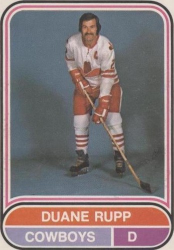 1975-76 O-Pee-Chee WHA - Duane Rupp #18
