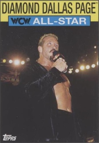 2016 Topps Heritage WWE - Diamond Dallas Page #22