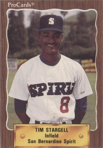 1990 ProCards Minor League - Tim Stargell #2641