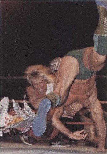 Lot (3) Ricky Morton 1988 Wonderama NWA Series 1 #69 #314