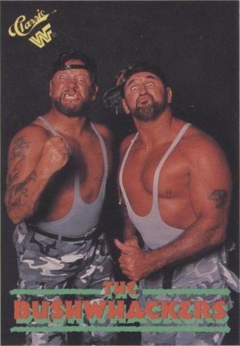 1990 Classic WWF - Bushwhacker Luke #15