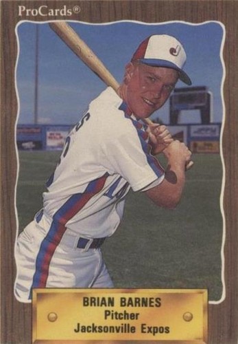 1990 ProCards Minor League - Brian Barnes #1365