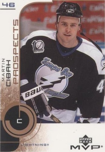 2002-03 Upper Deck MVP - Martin Cibak #217