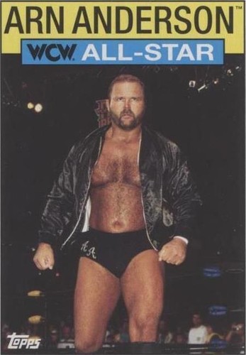 2016 Topps Heritage WWE - Arn Anderson #21
