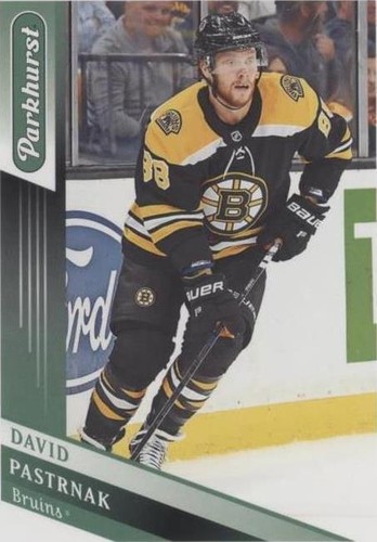 2019-20 Upper Deck Parkhurst - David Pastrnak #246