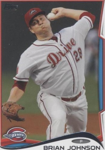 2014 Topps Pro Debut - Brian Johnson #213