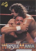 1990 Classic WWF The History of Wrestlemania - Rick Rude #47