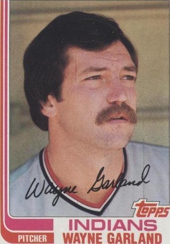 1982 Topps - Wayne Garland #446