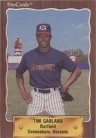 1990 ProCards Minor League - Tim Garland #2673