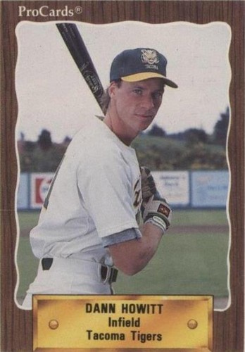 1990 ProCards Minor League - Dann Howitt #100
