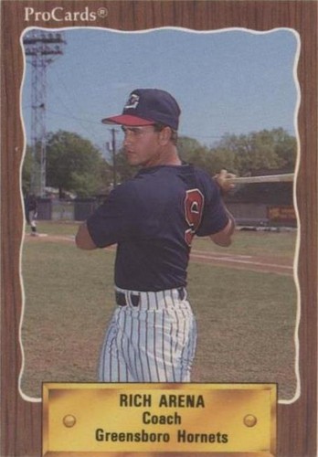 1990 ProCards Minor League - Rich Arena #2681