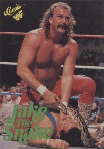 1990 Classic WWF - Jake "The Snake" Roberts #108
