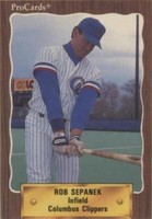 1990 ProCards Minor League - Rob Sepanek #684